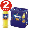 ORANGINA BOUTEILLE EN PLASTIQUE DE 1L - PACK DE 12