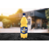 ORANGINA BOUTEILLE EN PLASTIQUE DE 1L - PACK DE 12