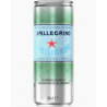 SAN PELLEGRINO CANETTE DE 33CL - PACK DE 24